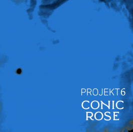 CONIC ROSE